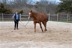 LR-WRF 0402026 Retreat-3218